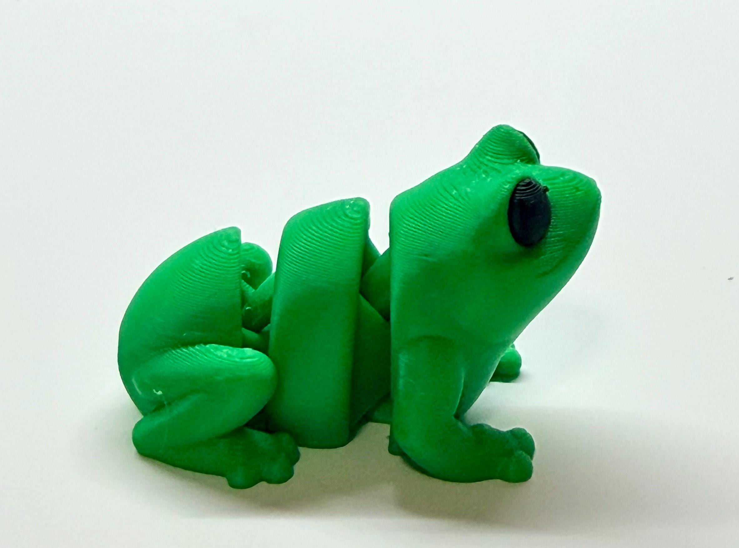 Articulating 3D Printed Frog – Flexible Fidget Toy & Desk Decor