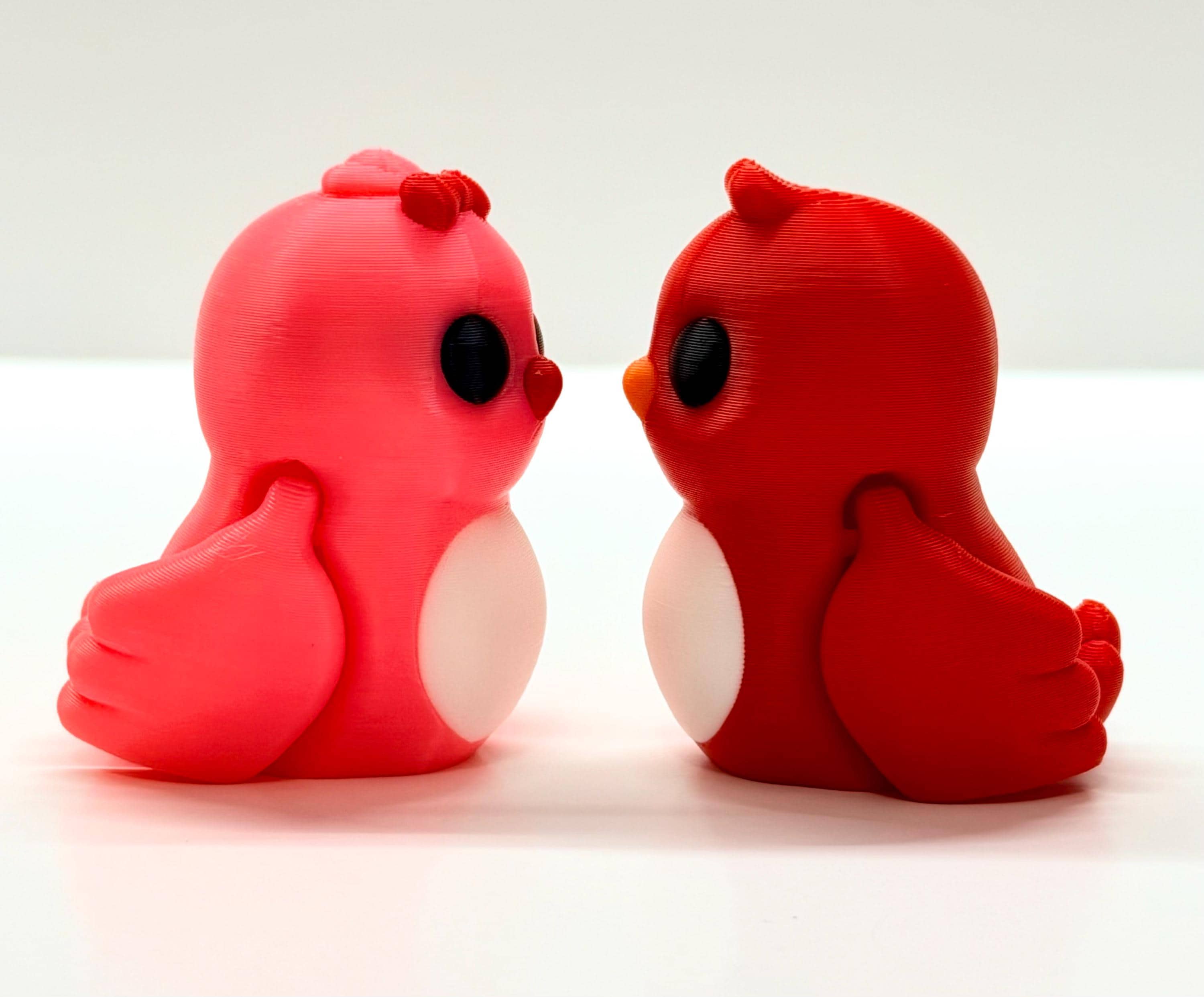 Love Bird Flexi's– Valentine’s Day Pair (Pink & Red)